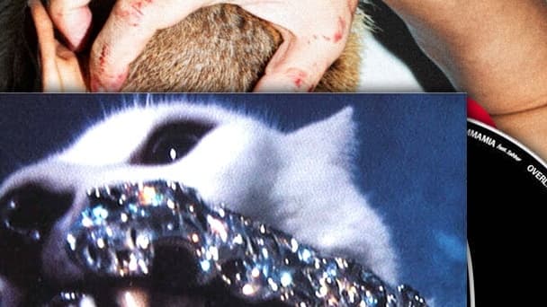 Crush、韓国ヒップホップアワード2026を席巻——FANGで10年の歴史に名を刻む
